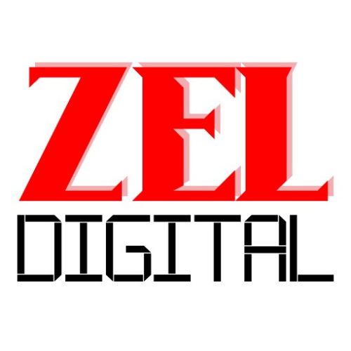 Fractional PPC ads Services by Zeldigital